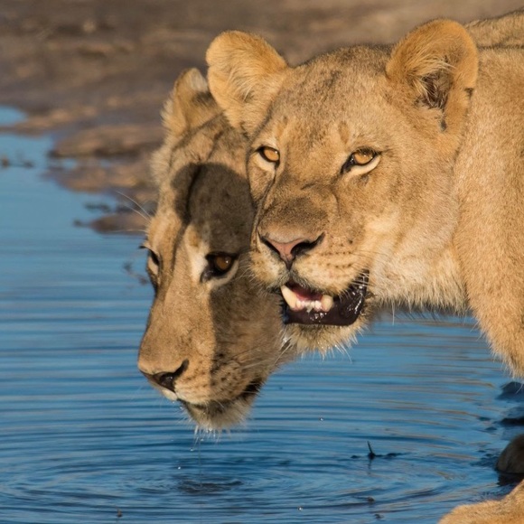 Meet your Posher, Lorena - Picture 9 of 17